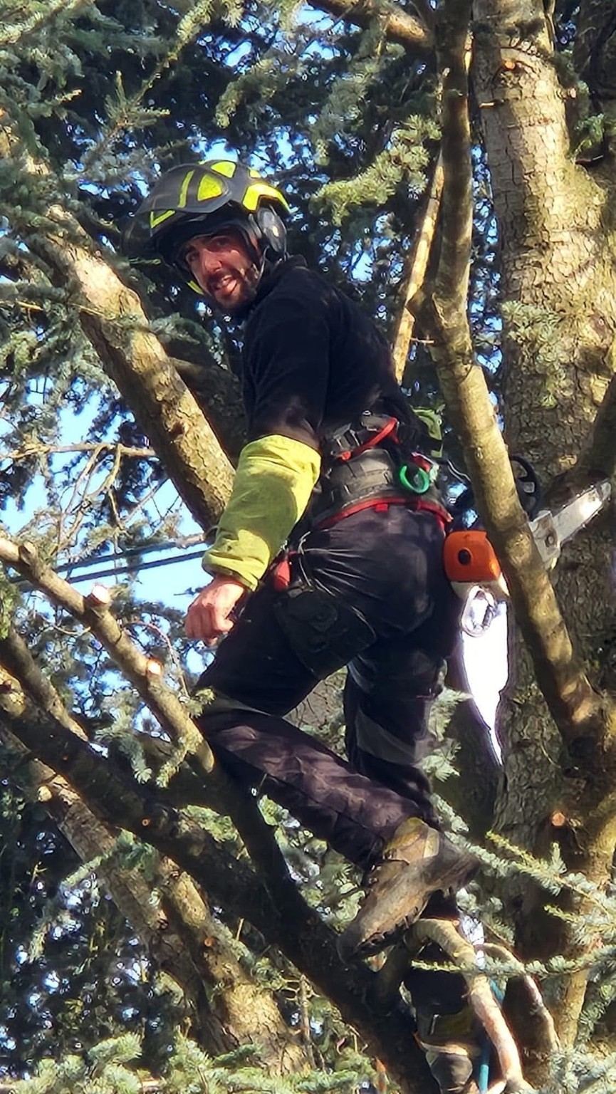 Élagueur Jard-inspi en intervention dans un arbre