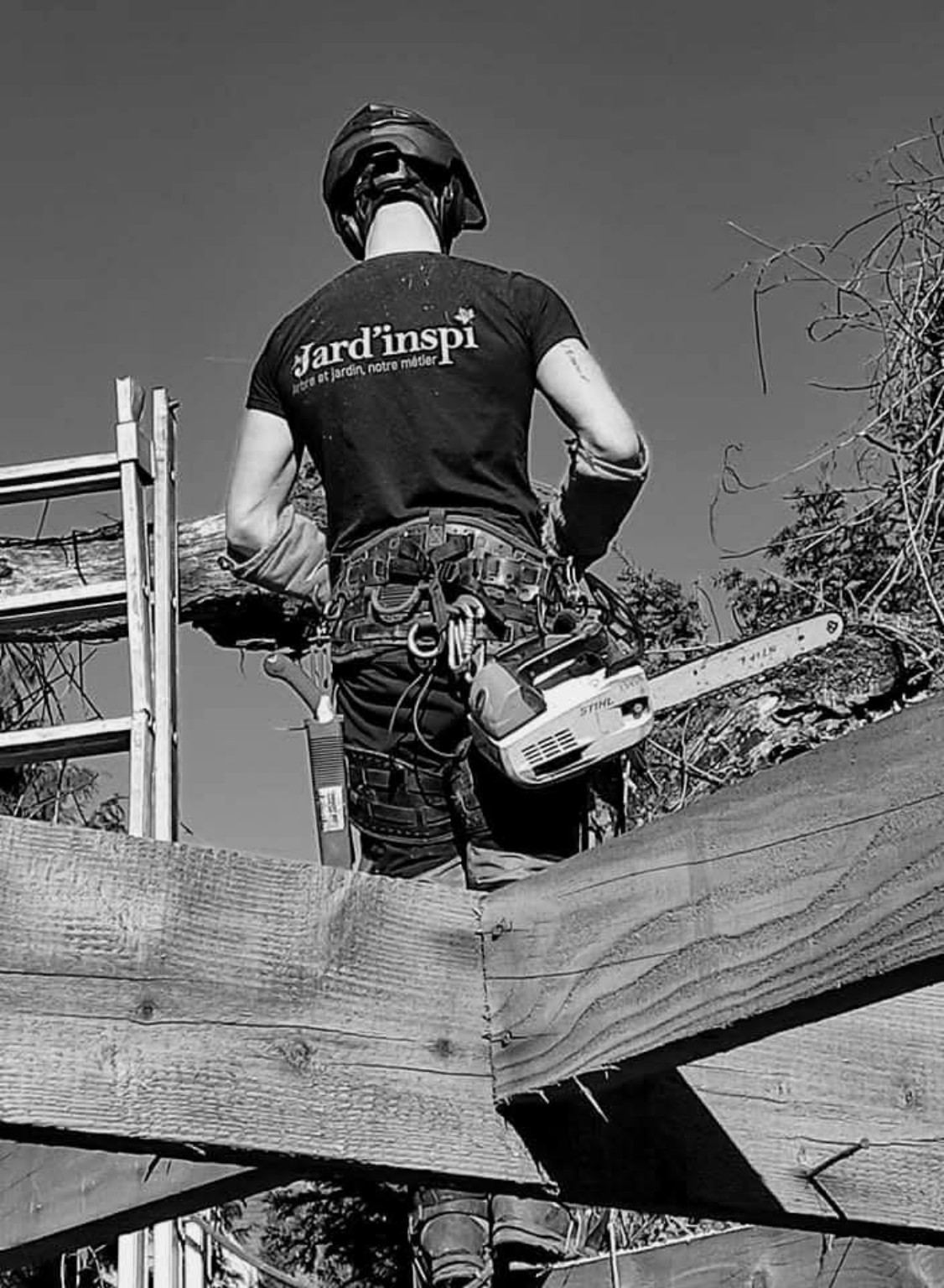 Photo de chantier Jard-inspi dans les Yvelines : élagage, taille, entretien, remise en état