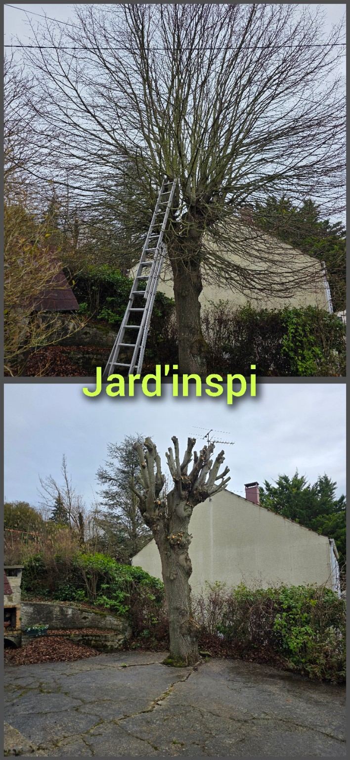 Photo de chantier Jard-inspi dans les Yvelines : élagage, taille, entretien, remise en état