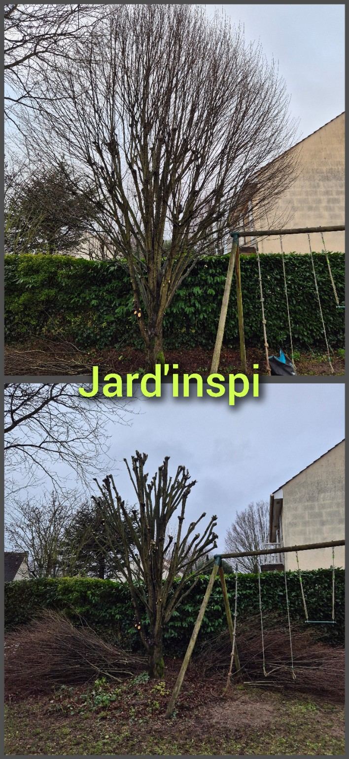 Photo de chantier Jard-inspi dans les Yvelines : élagage, taille, entretien, remise en état