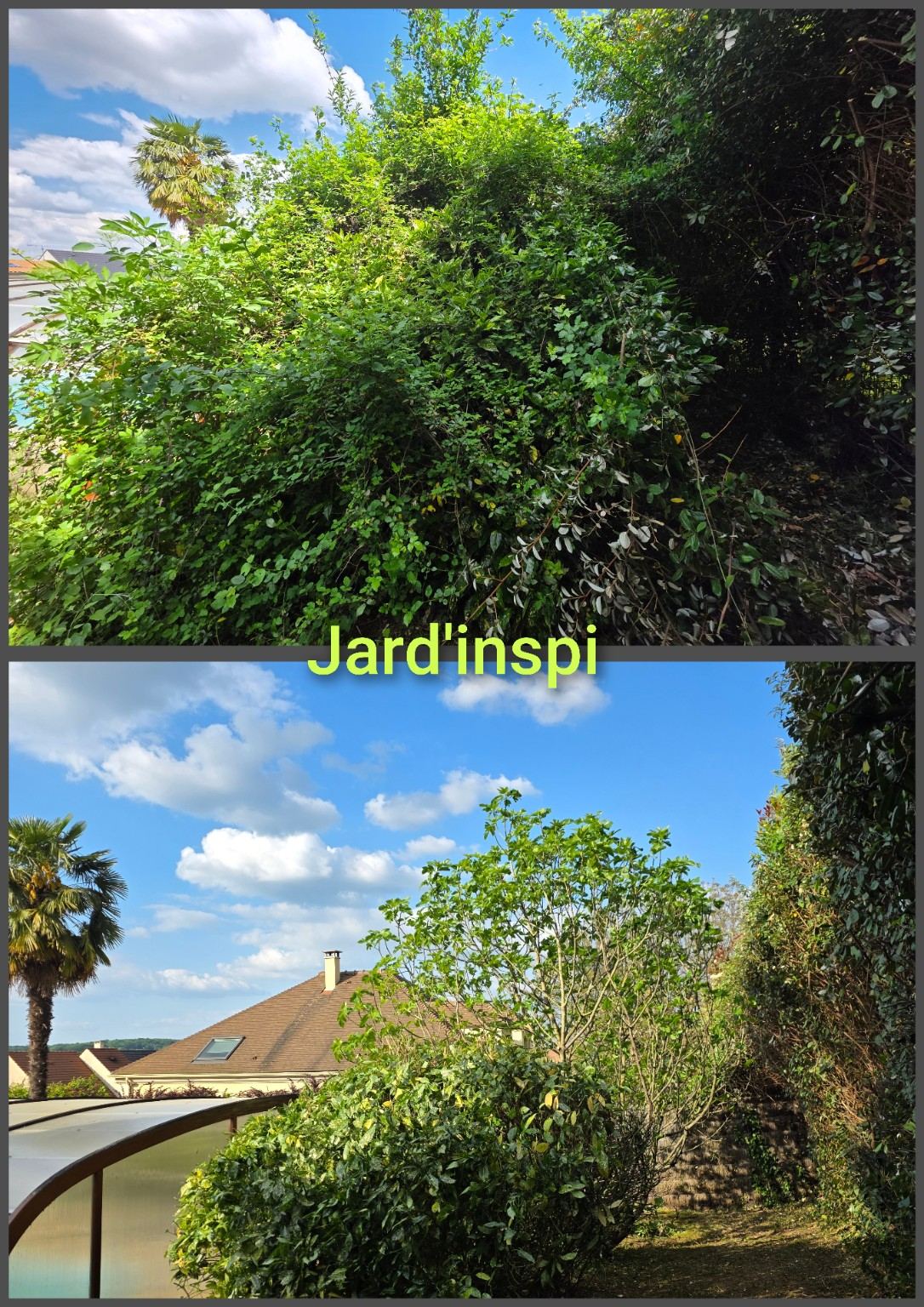 Photo de chantier Jard-inspi dans les Yvelines : élagage, taille, entretien, remise en état