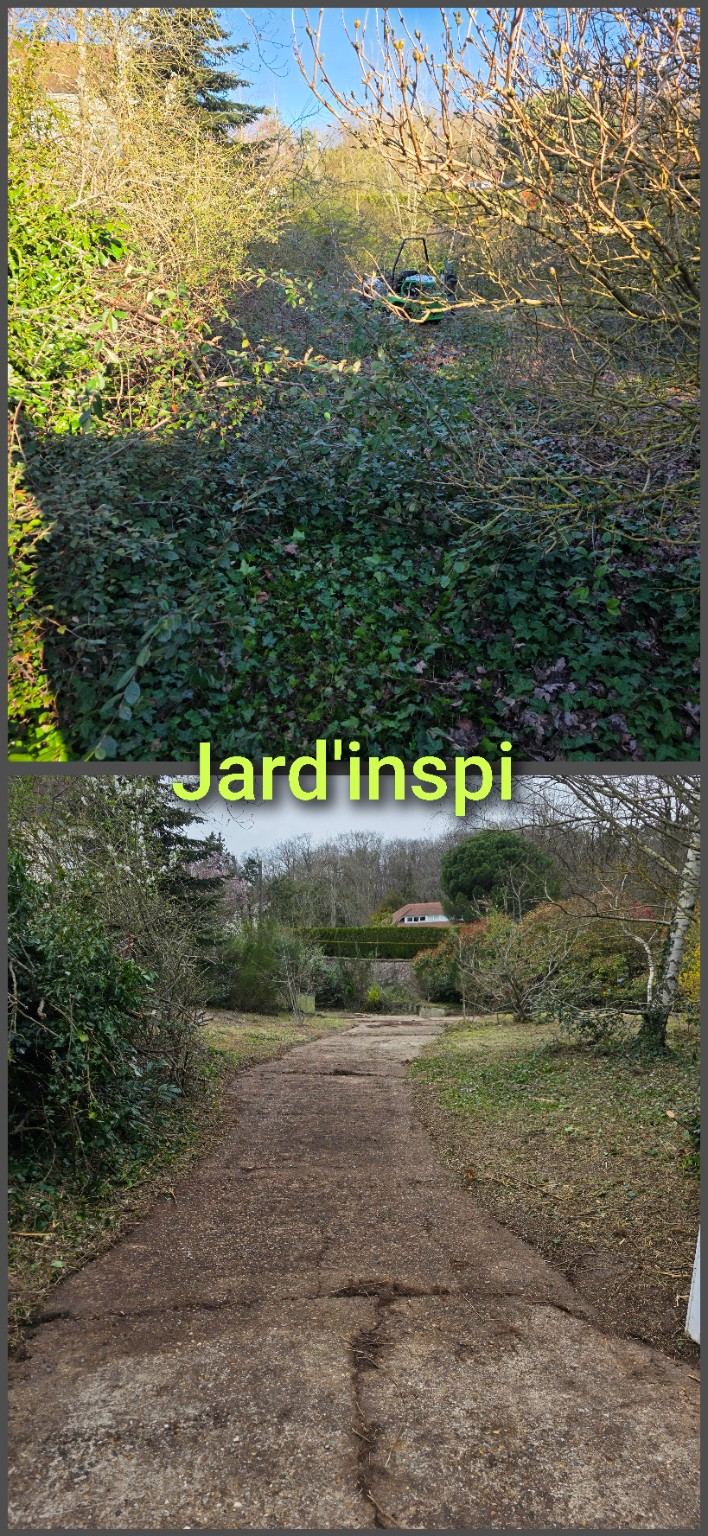 Photo de chantier Jard-inspi dans les Yvelines : élagage, taille, entretien, remise en état