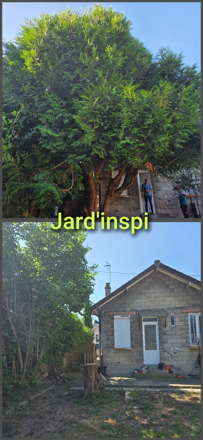 Photo de chantier Jard-inspi dans les Yvelines : élagage, taille, entretien, remise en état