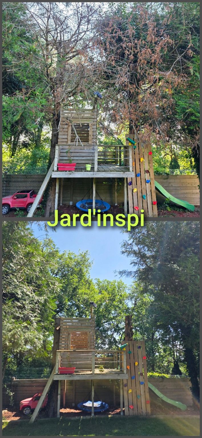 Photo de chantier Jard-inspi dans les Yvelines : élagage, taille, entretien, remise en état