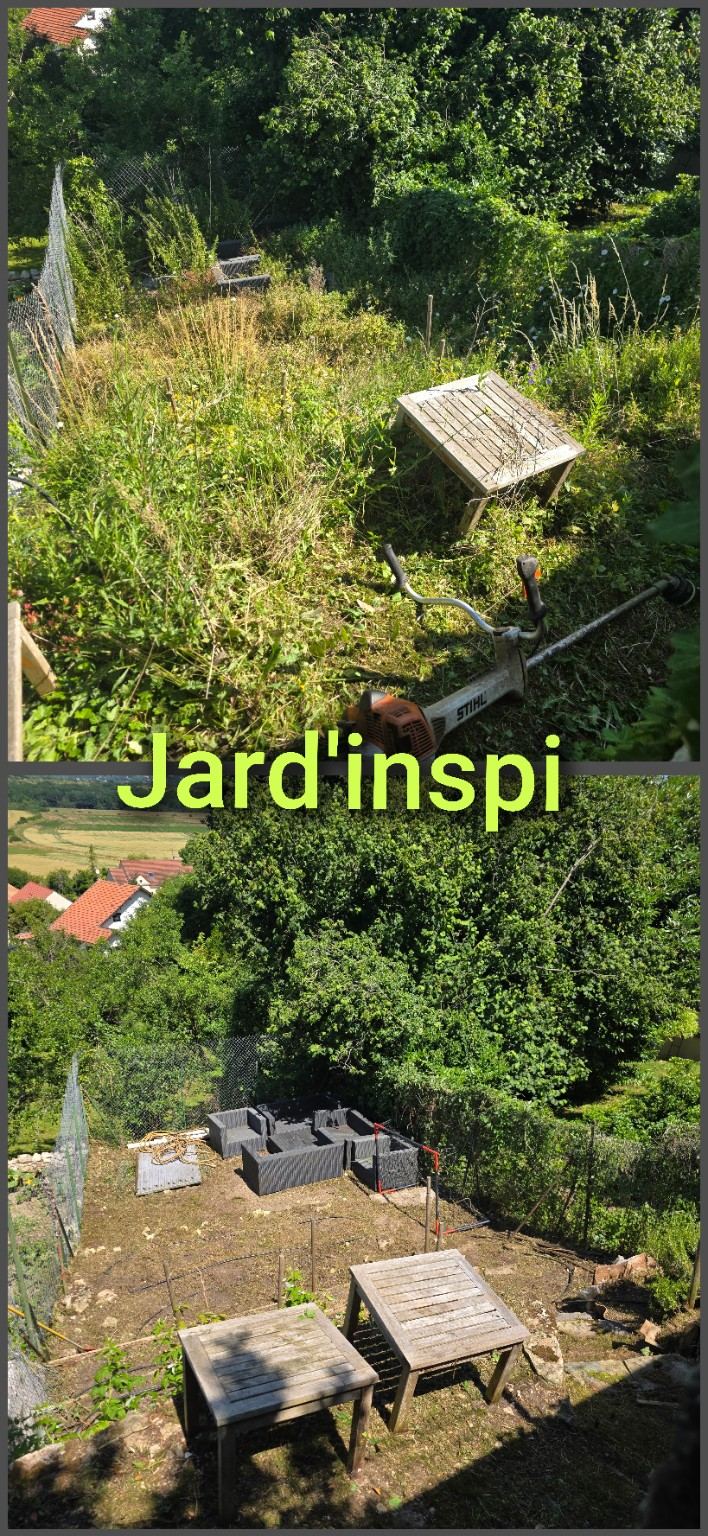 Photo de chantier Jard-inspi dans les Yvelines : élagage, taille, entretien, remise en état