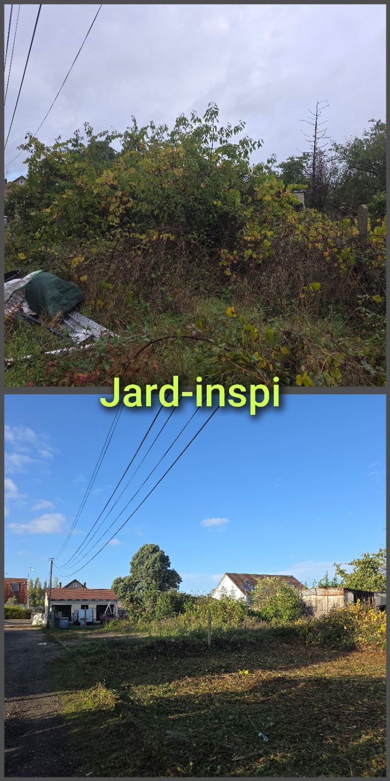 Photo de chantier Jard-inspi dans les Yvelines : élagage, taille, entretien, remise en état