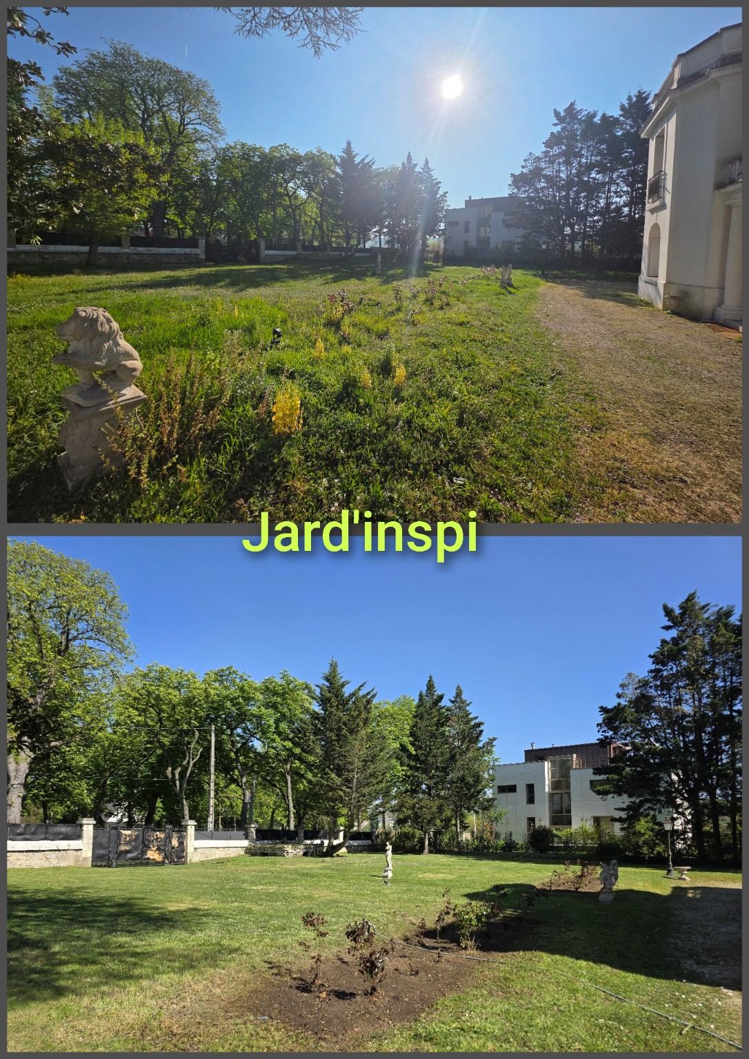 Photo de chantier Jard-inspi dans les Yvelines : élagage, taille, entretien, remise en état
