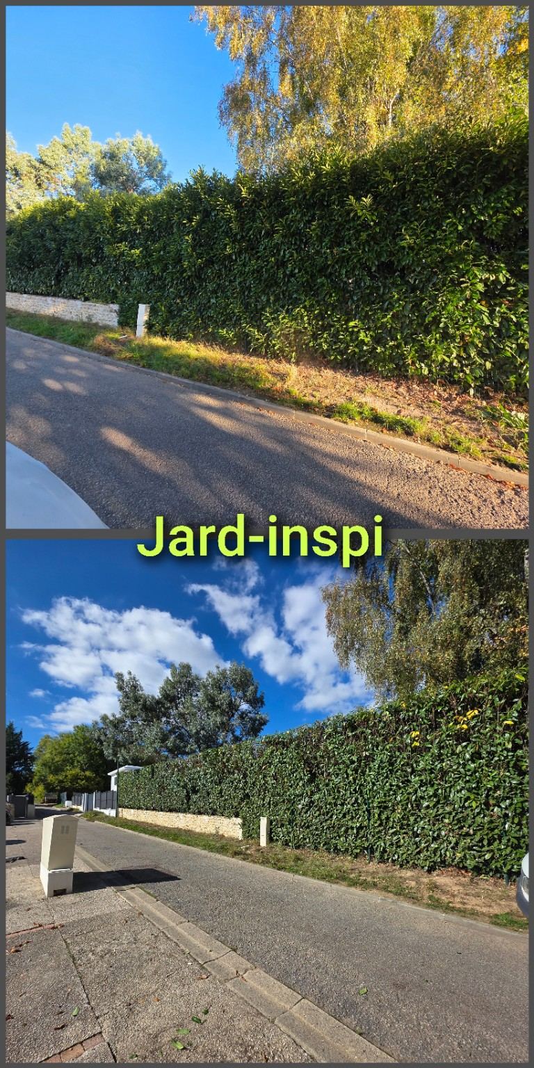 Photo de chantier Jard-inspi dans les Yvelines : élagage, taille, entretien, remise en état