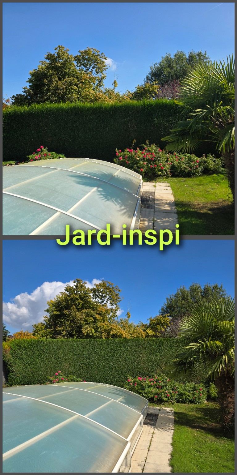 Photo de chantier Jard-inspi dans les Yvelines : élagage, taille, entretien, remise en état