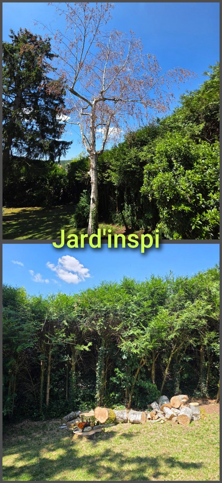 Photo de chantier Jard-inspi dans les Yvelines : élagage, taille, entretien, remise en état