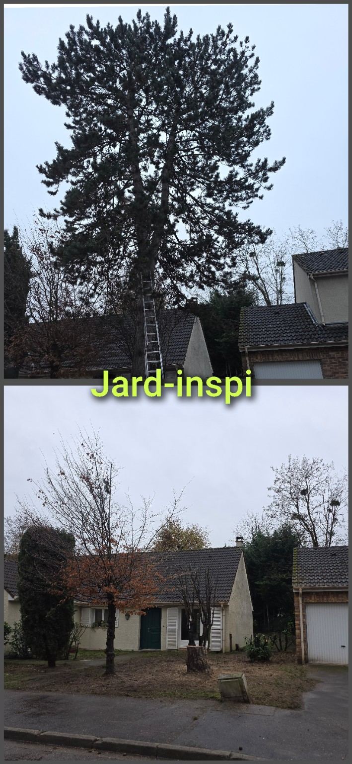 Photo de chantier Jard-inspi dans les Yvelines : élagage, taille, entretien, remise en état