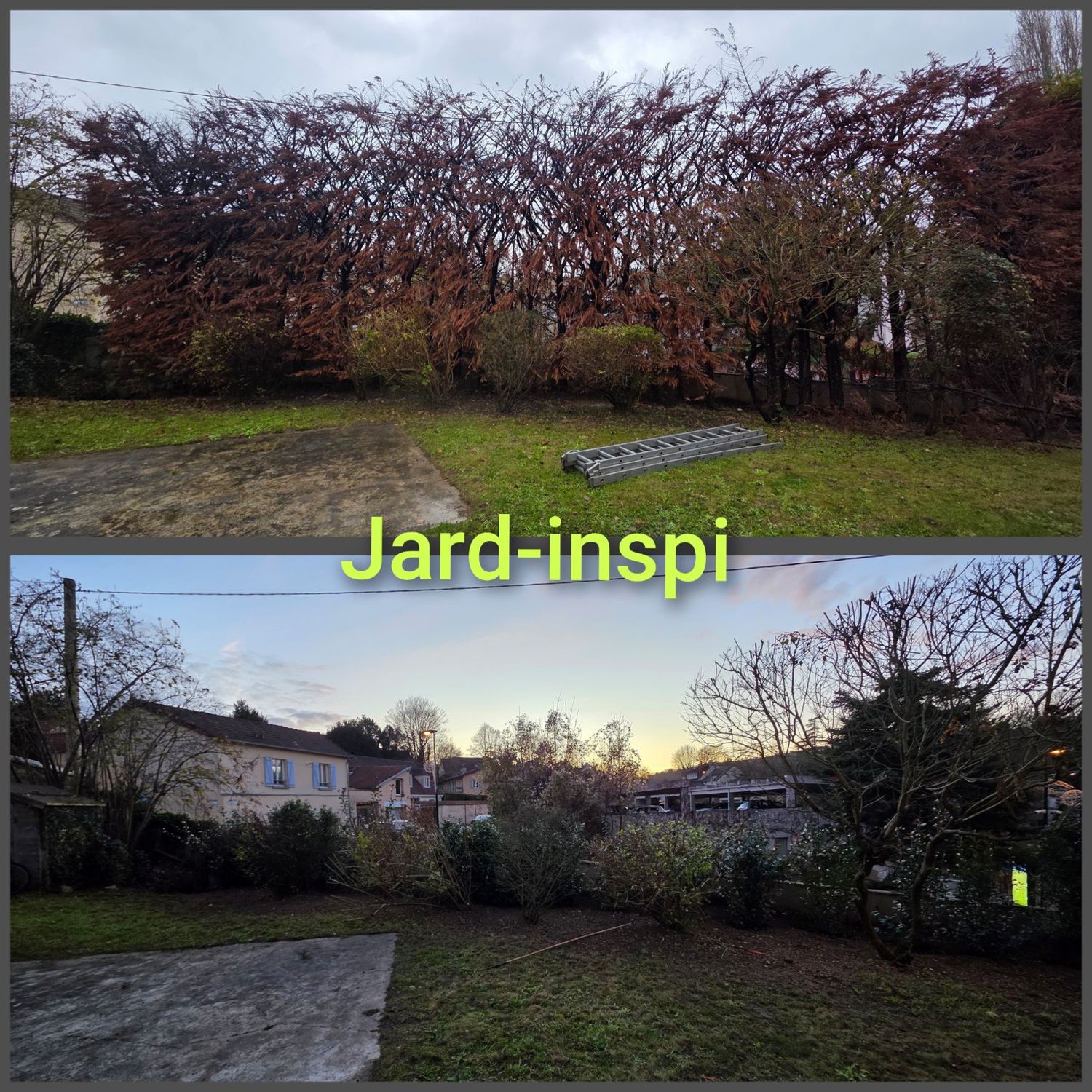 Photo de chantier Jard-inspi dans les Yvelines : élagage, taille, entretien, remise en état