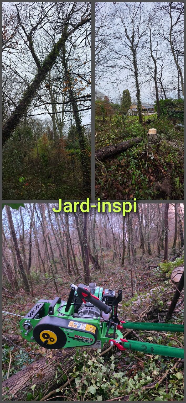 Photo de chantier Jard-inspi dans les Yvelines : élagage, taille, entretien, remise en état