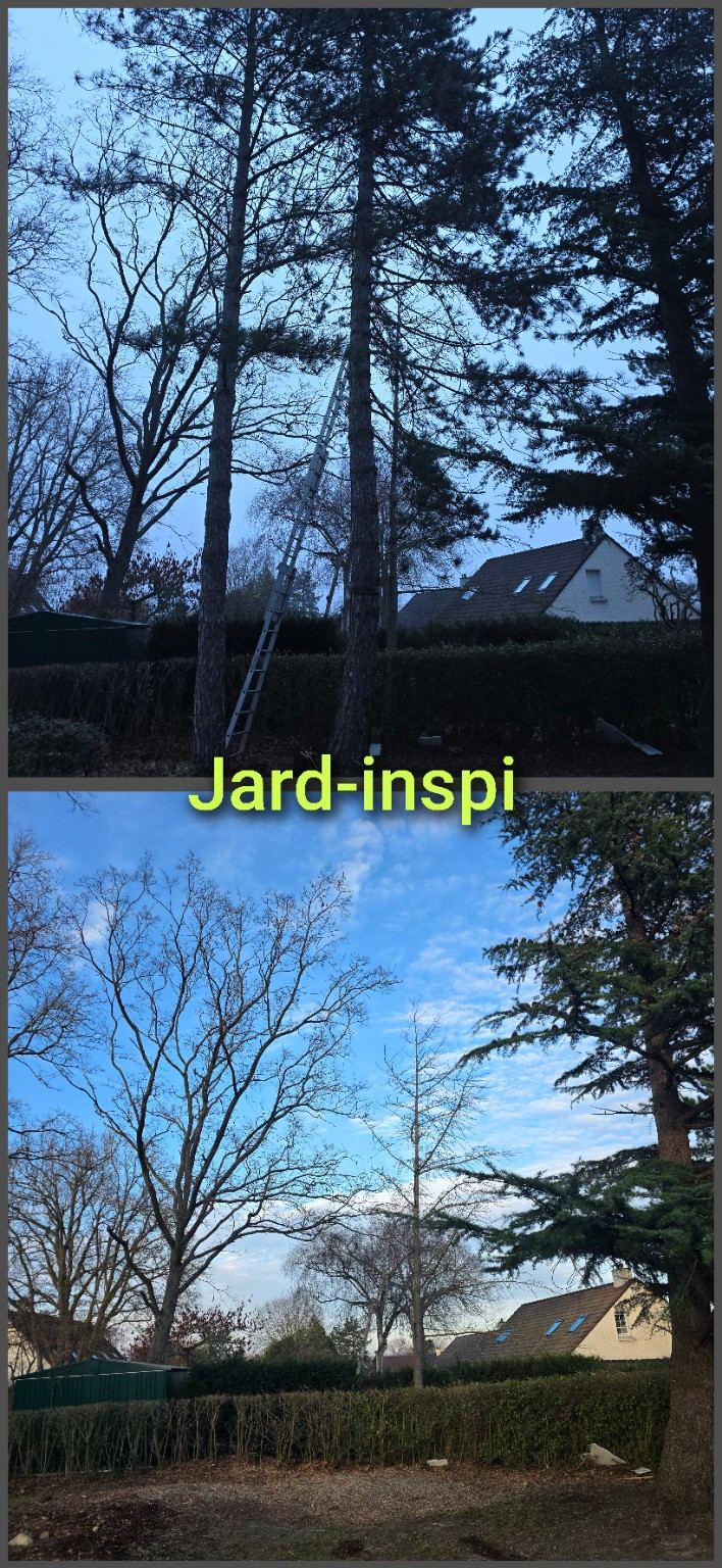Photo de chantier Jard-inspi dans les Yvelines : élagage, taille, entretien, remise en état