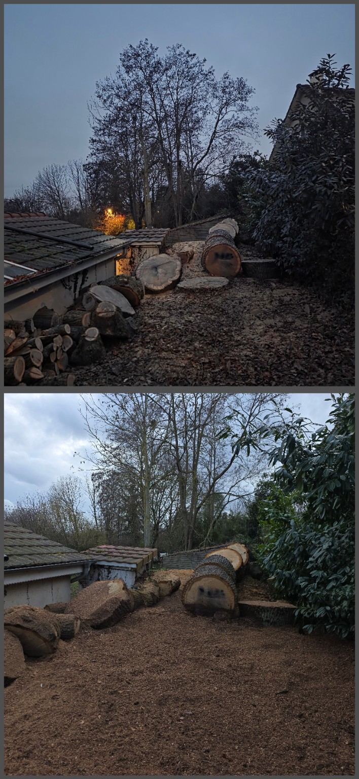 Photo de chantier Jard-inspi dans les Yvelines : élagage, taille, entretien, remise en état