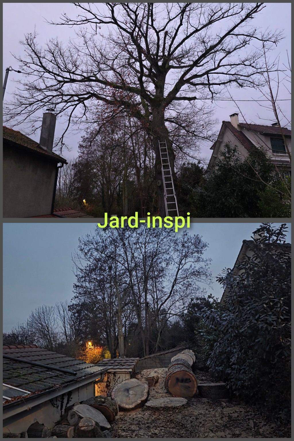 Photo de chantier Jard-inspi dans les Yvelines : élagage, taille, entretien, remise en état