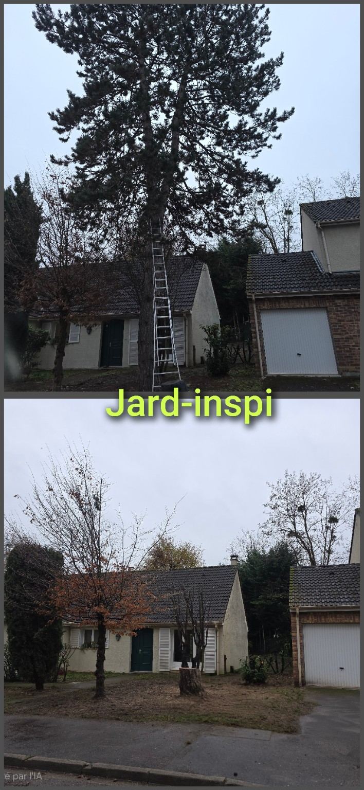 Photo de chantier Jard-inspi dans les Yvelines : élagage, taille, entretien, remise en état