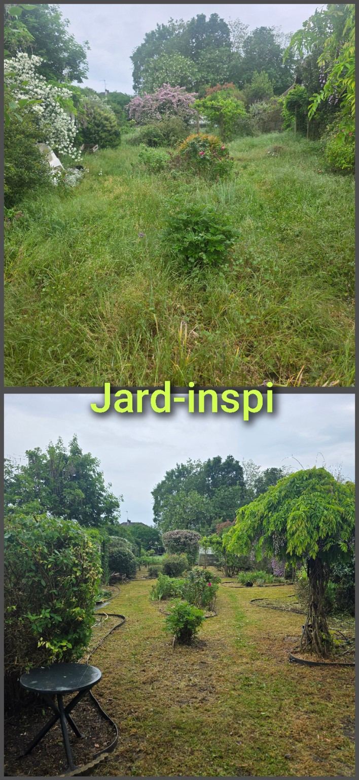 Photo de chantier Jard-inspi dans les Yvelines : élagage, taille, entretien, remise en état