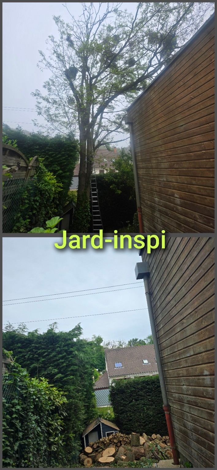 Photo de chantier Jard-inspi dans les Yvelines : élagage, taille, entretien, remise en état